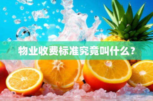 物业收费标准究竟叫什么？