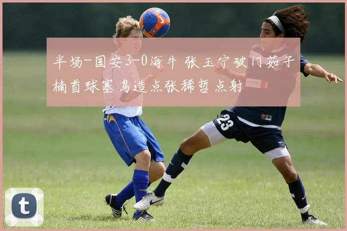半场-国安3-0海牛 张玉宁破门茹子楠首球塞鸟造点张稀哲点射