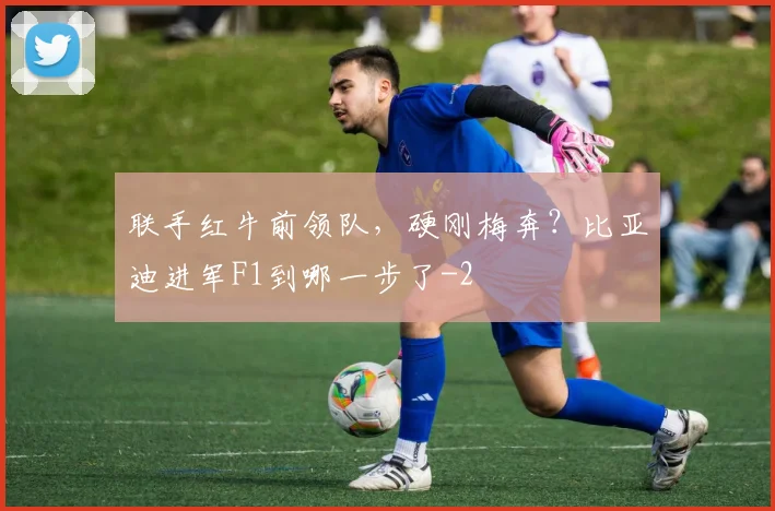 联手红牛前领队，硬刚梅奔？比亚迪进军F1到哪一步了